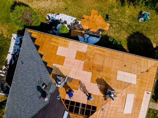 Best Roof Gutter Cleaning  in Oakland, MO